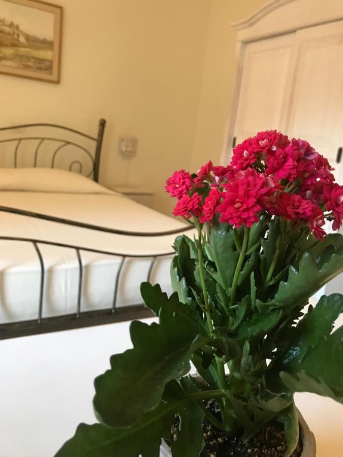 Domo Antiga Guest Rooms Sorso Eksteriør bilde