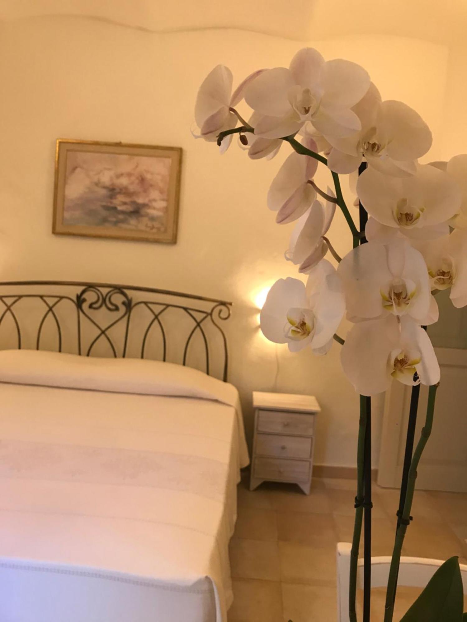 Domo Antiga Guest Rooms Sorso Eksteriør bilde